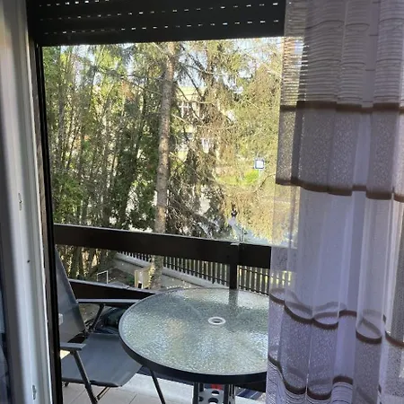 Aranyapartman * Kisbajcs