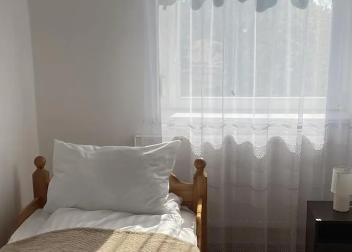 Aranyapartman * Kisbajcs