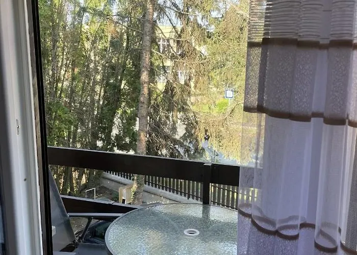 Aranyapartman * Kisbajcs